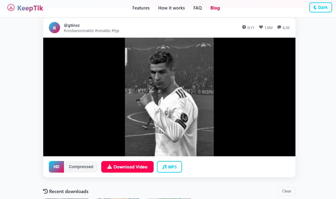 TikTok Video to Audio Converter 🎧✨